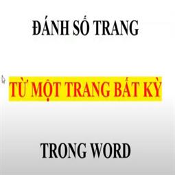 [WORD] Hướng dẫn đánh số trang tại trang bất kỳ trong Word